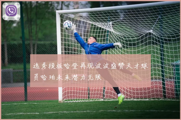 选秀模板哈登再现波波盛赞天才球员哈珀未来潜力无限